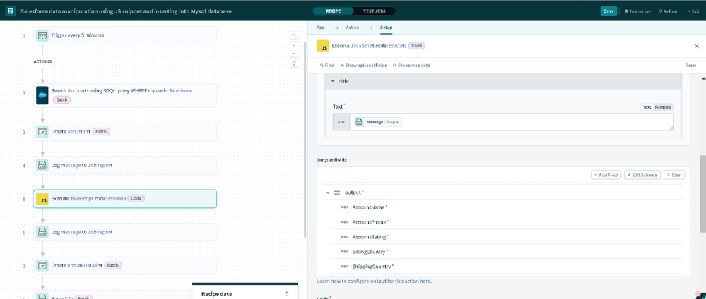 output schema