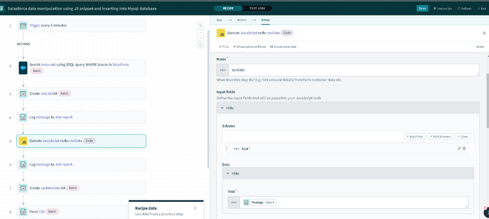 input schema