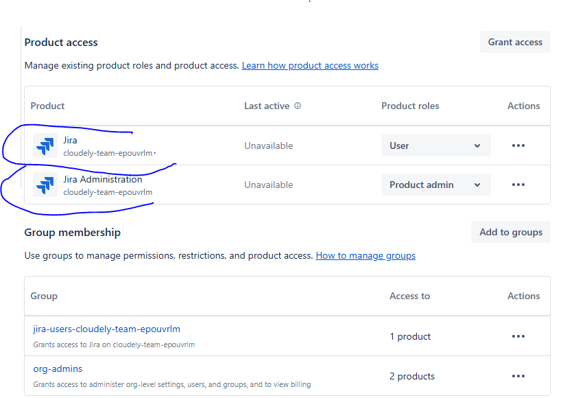 Product access in JIRA.PNG